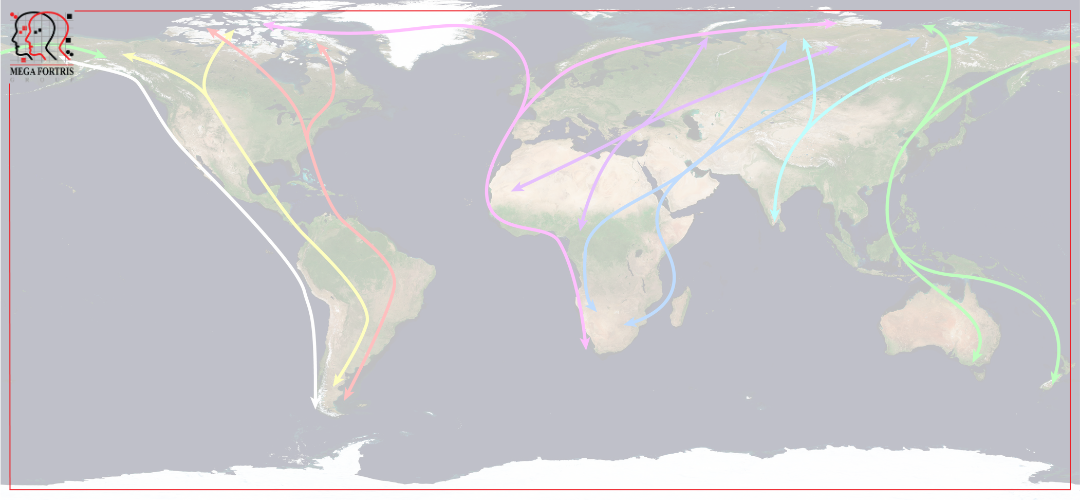 Global Shipping Routes Disruption | Mega Fortris UK